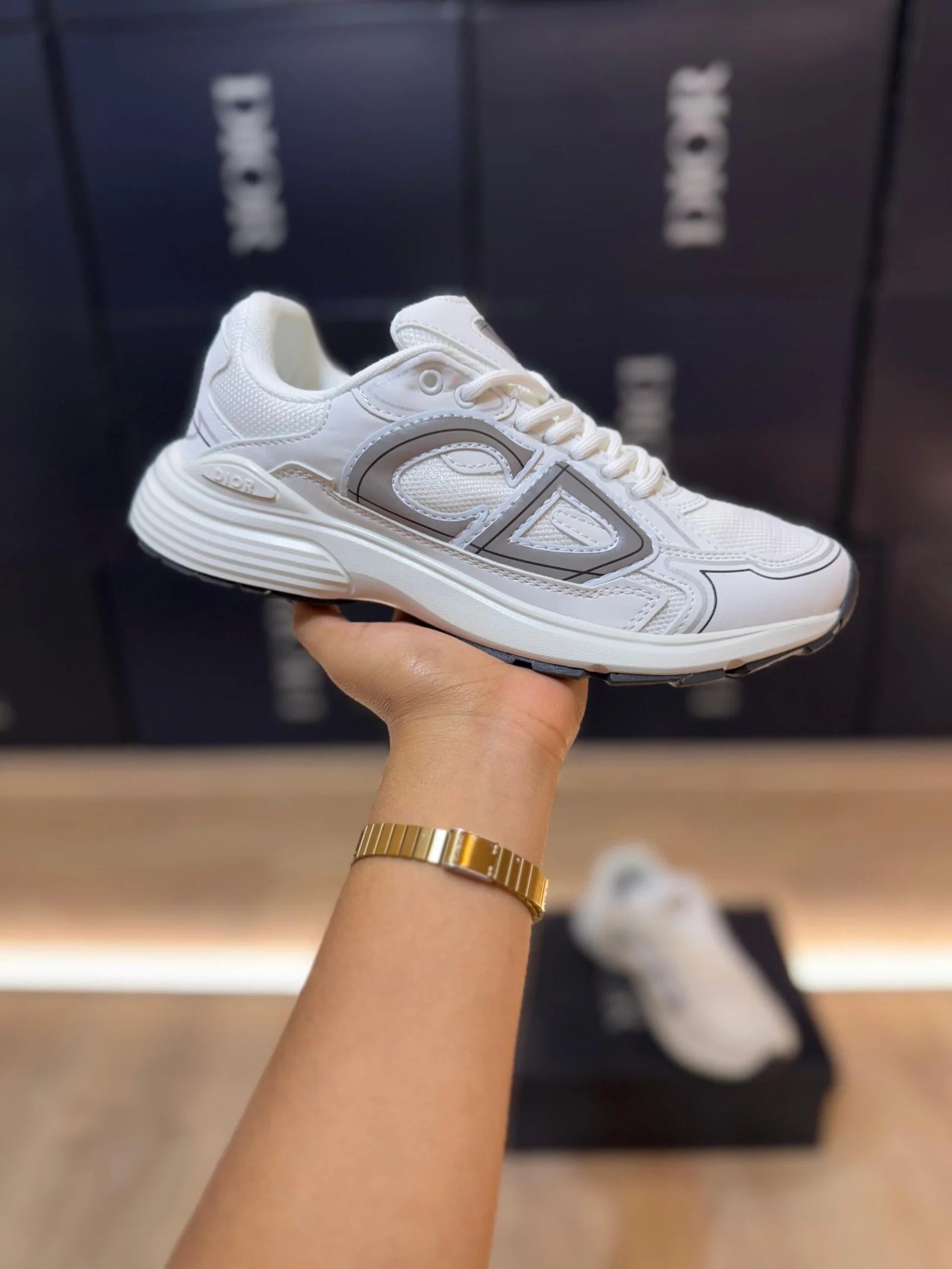 ZAPATILLA DIOR B30 - Gris